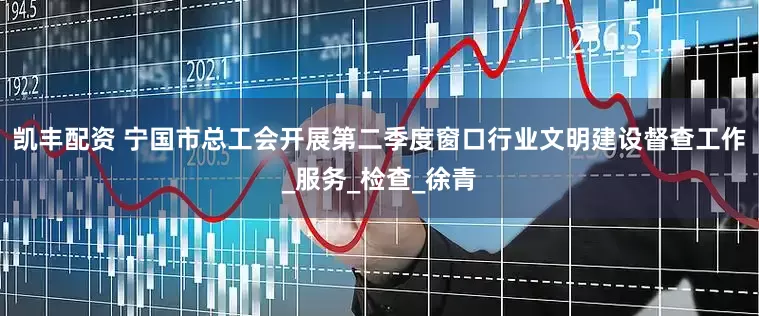 凯丰配资 宁国市总工会开展第二季度窗口行业文明建设督查工作_服务_检查_徐青