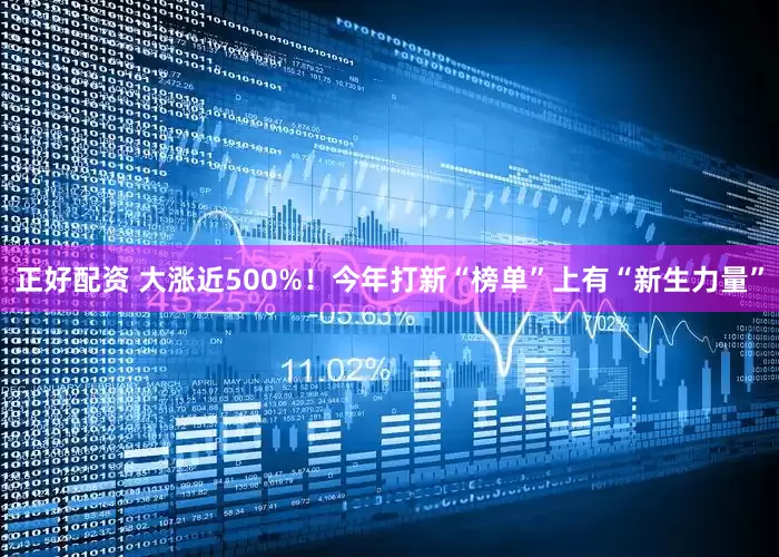正好配资 大涨近500%！今年打新“榜单”上有“新生力量”